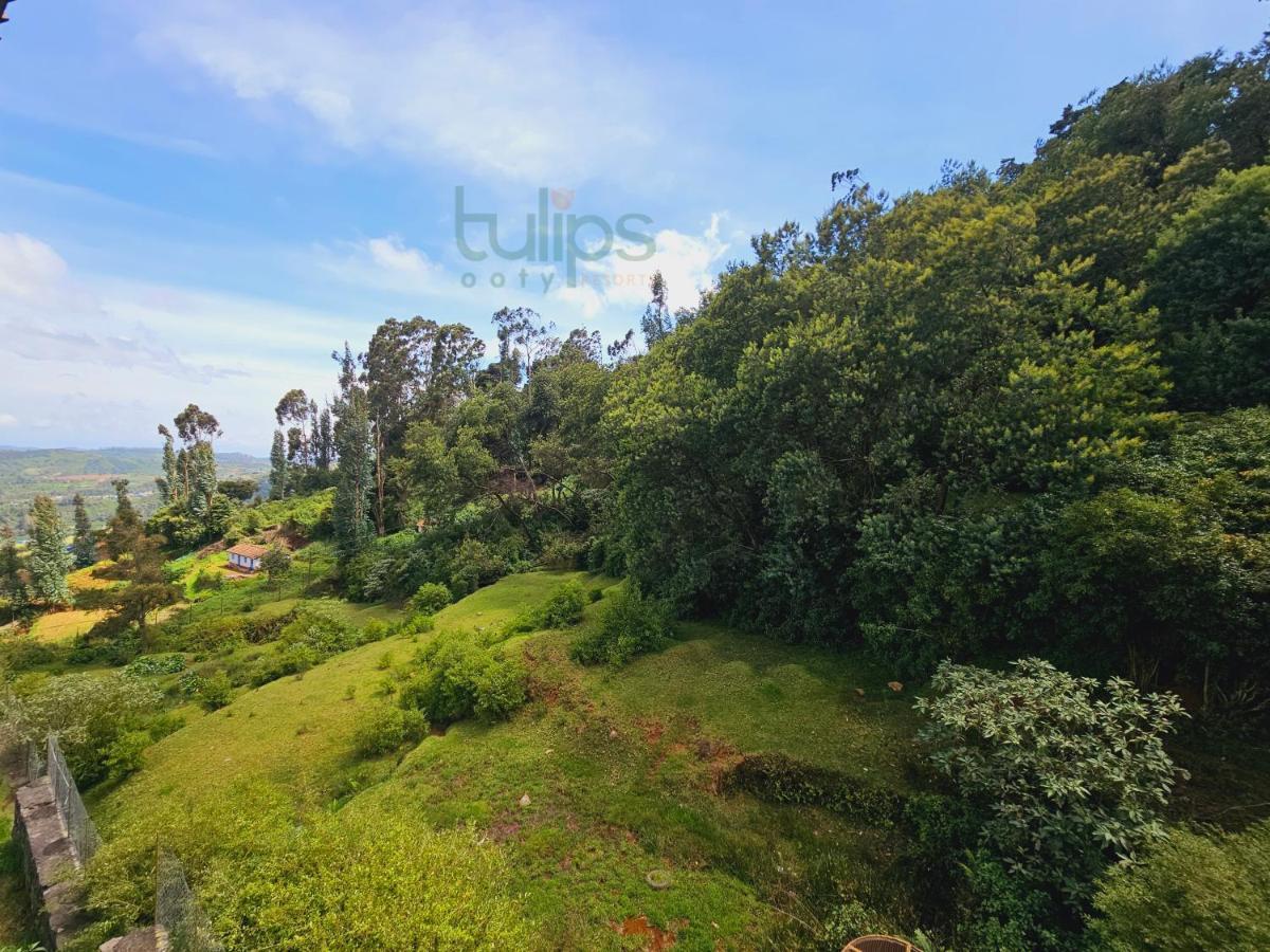 Tulips Village Resorts ウーティ エクステリア 写真
