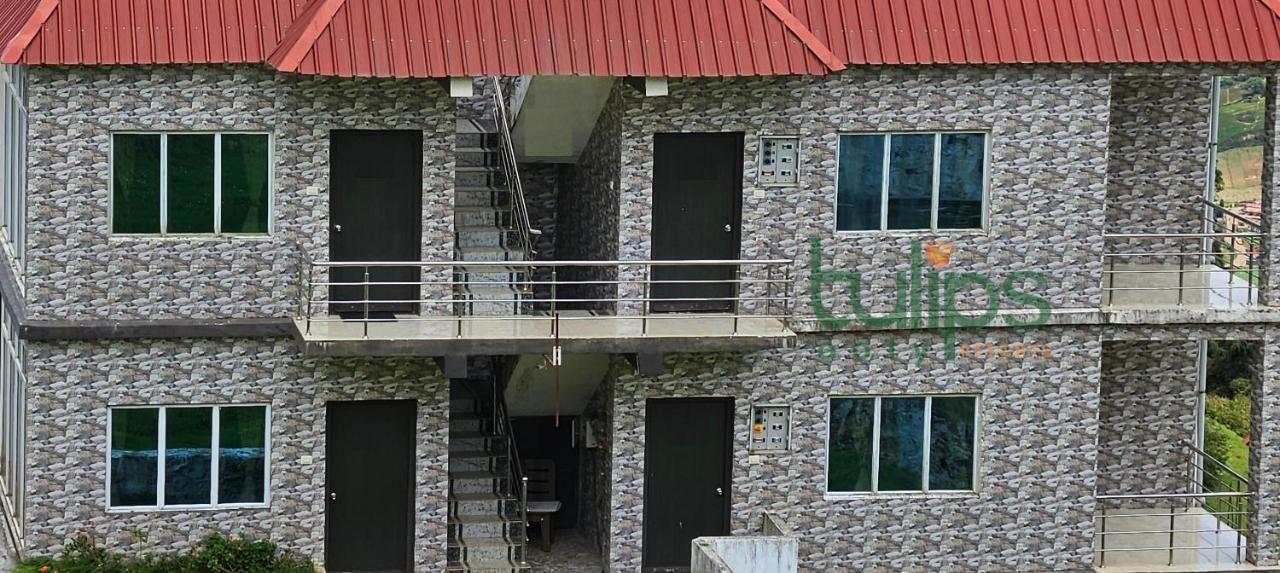 Tulips Village Resorts ウーティ エクステリア 写真